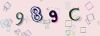 Captcha-picture.