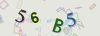 Captcha-picture.