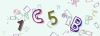 Captcha-picture.