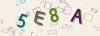 Captcha-picture.