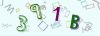 Captcha-picture.