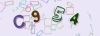 Captcha-picture.