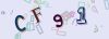 Captcha-picture.