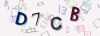 Captcha-picture.