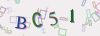 Captcha-picture.