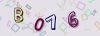 Captcha-picture.