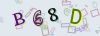 Captcha-picture.