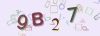Captcha-picture.