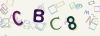 Captcha-picture.