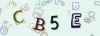 Captcha-picture.