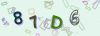 Captcha-picture.