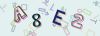 Captcha-picture.