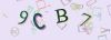 Captcha-picture.