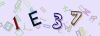 Captcha-picture.