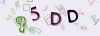 Captcha-picture.