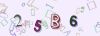 Captcha-picture.