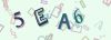 Captcha-picture.