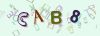 Captcha-picture.