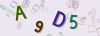 Captcha-picture.
