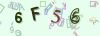 Captcha-picture.
