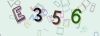 Captcha-picture.