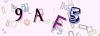 Captcha-picture.