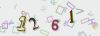 Captcha-picture.