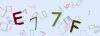 Captcha-picture.