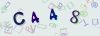 Captcha-picture.