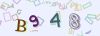 Captcha-picture.