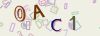 Captcha-picture.