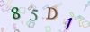 Captcha-picture.