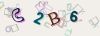 Captcha-picture.