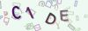 Captcha-picture.