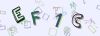 Captcha-picture.