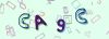 Captcha-picture.