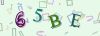 Captcha-picture.