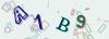 Captcha-picture.