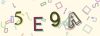 Captcha-picture.