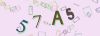 Captcha-picture.